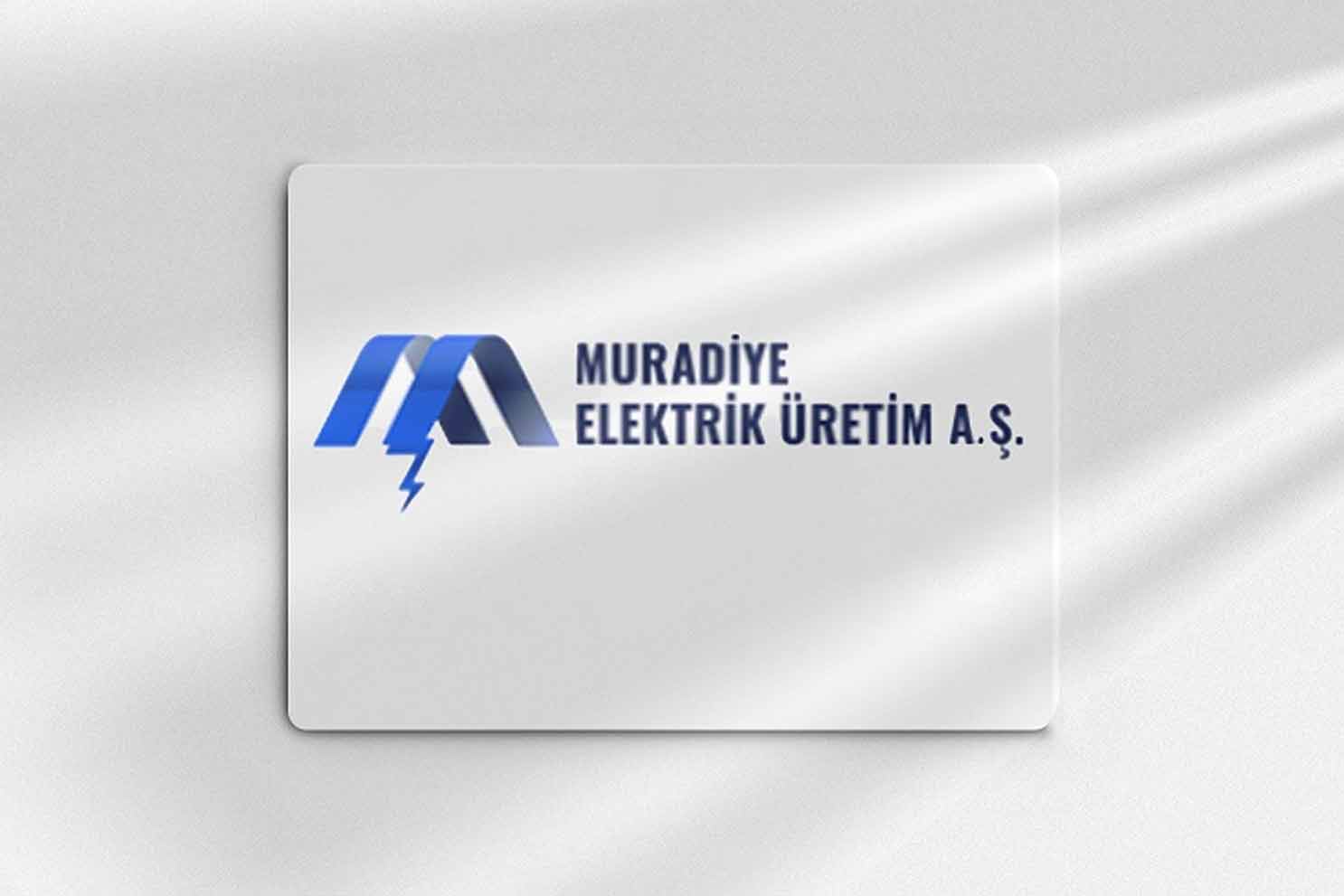 TMSF, Muradiye Elektrik Üretim AŞ’nin satışı için ihale açtı