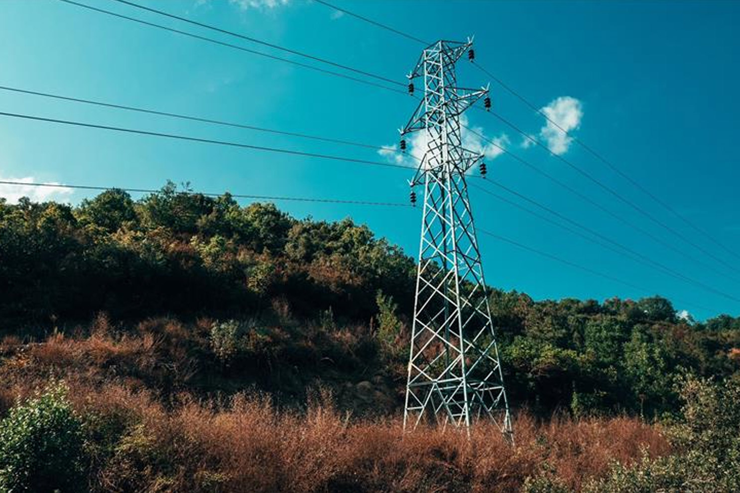 Anadolu Tarım İşletmesi elektrik enerjisi alımı için ihaleye çıkıyor