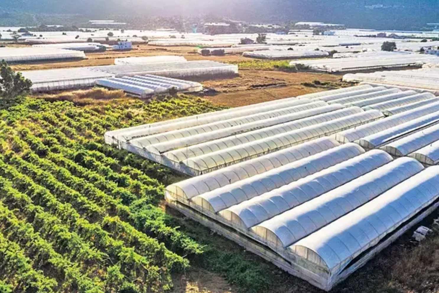 Antalya’da yüksek enerji verimliliğine sahip, çevre dostu organize tarım bölgesi için çalışmalara başlandı