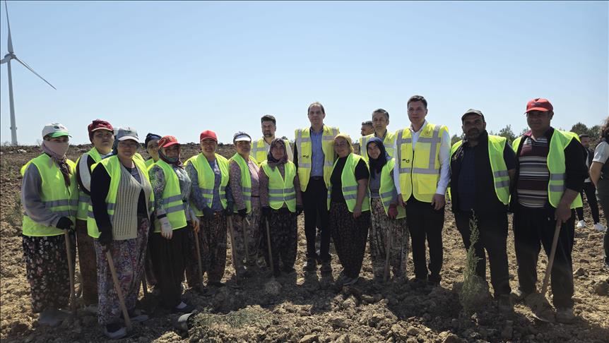 Enerji ve Tabii Kaynaklar Bakanlığı, Çanakkale’de 100 bin fidanlık “enerji ormanı” oluşturuyor