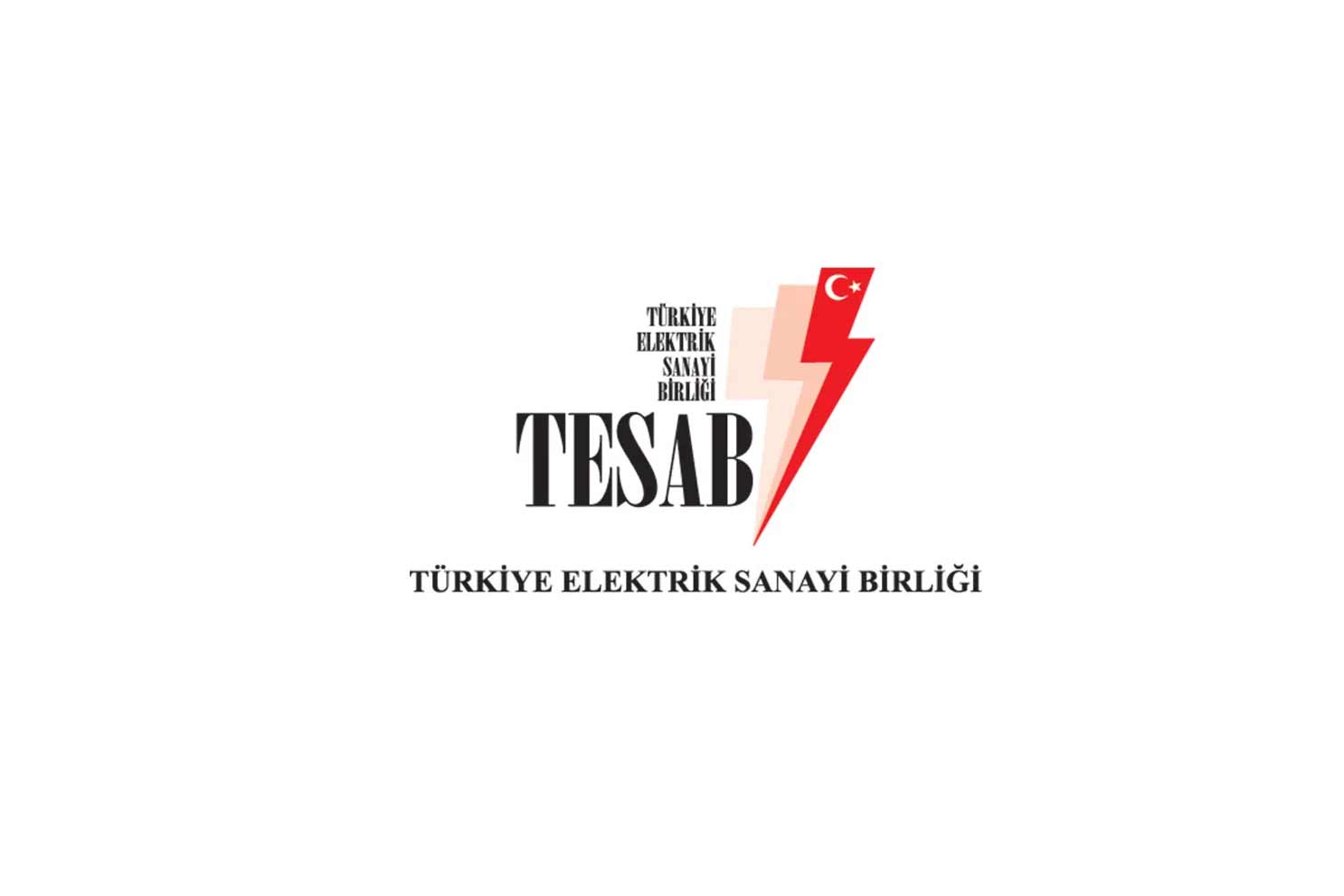 TESAB’ın “Yeşil Dönüşüm Sürecinde Adil Geçiş” kitabı enerji sektörüyle buluştu