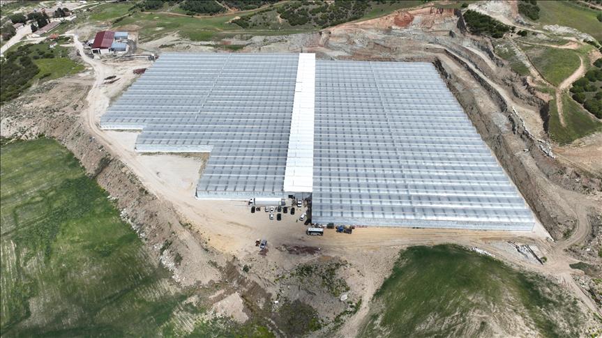 Manisa’da jeotermal serada üretilen 500 ton domates ihraç edildi