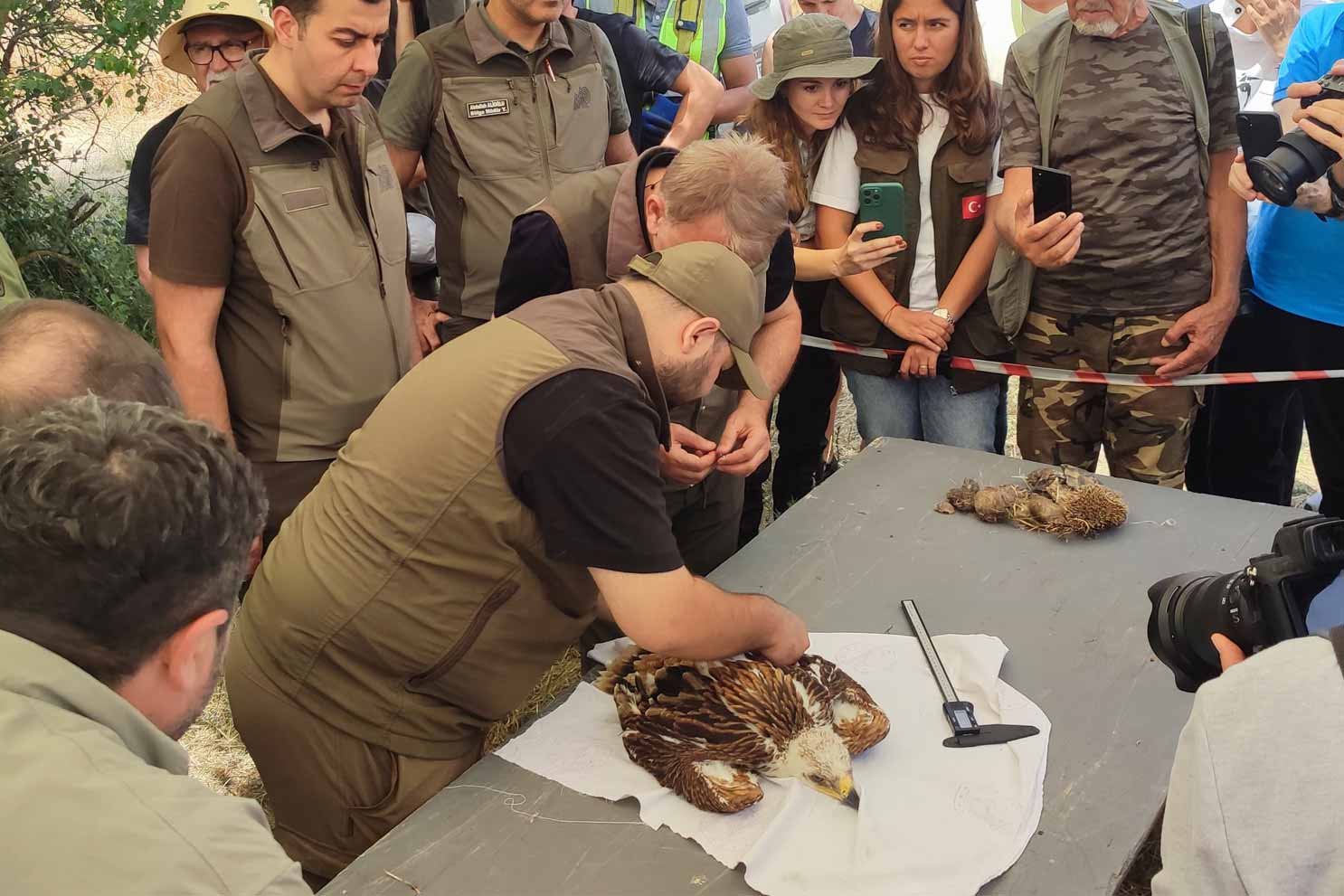 TREDAŞ’tan doğa dostu enerji adımı: Göçmen kuşlar için bilimsel seferberlik