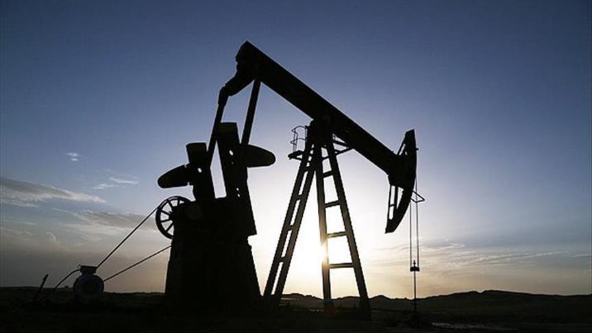 Rusya Başbakan Yardımcısı Novak, küresel petrol piyasasında arz açığı olmadığını bildirdi