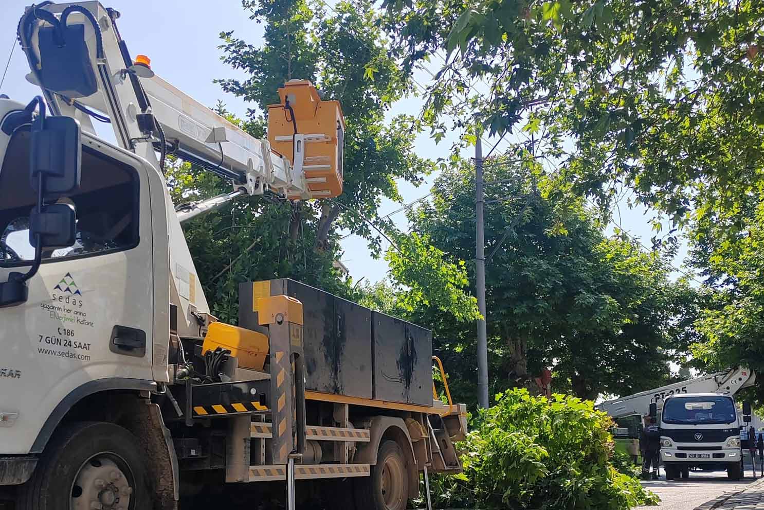 SEDAŞ, Kocaeli’de kesintisiz enerji için ağaç budama çalışmalarını sürdürüyor