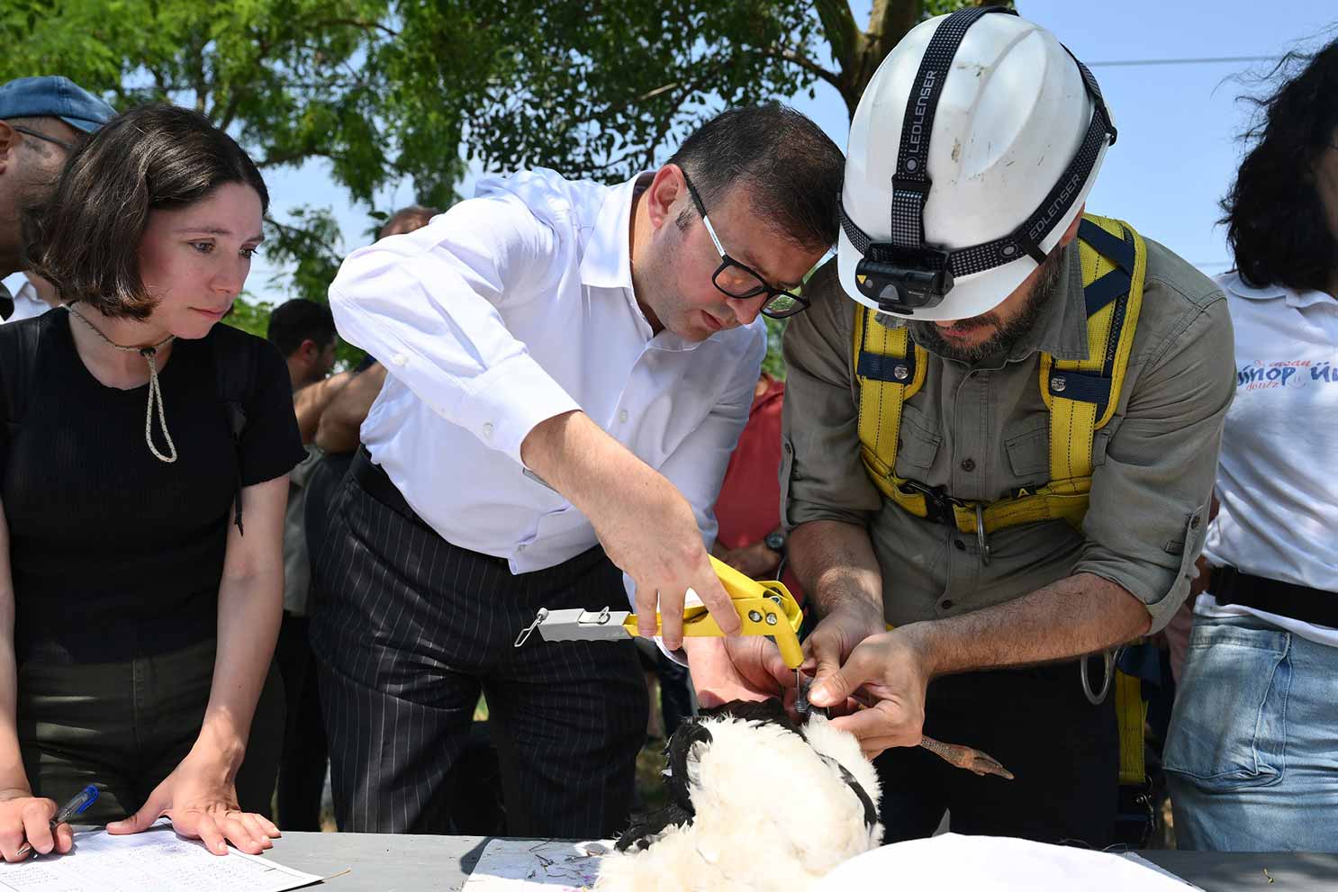 Trakya’da, leylekler ve Şah Kartal için koruma seferberliği başladı