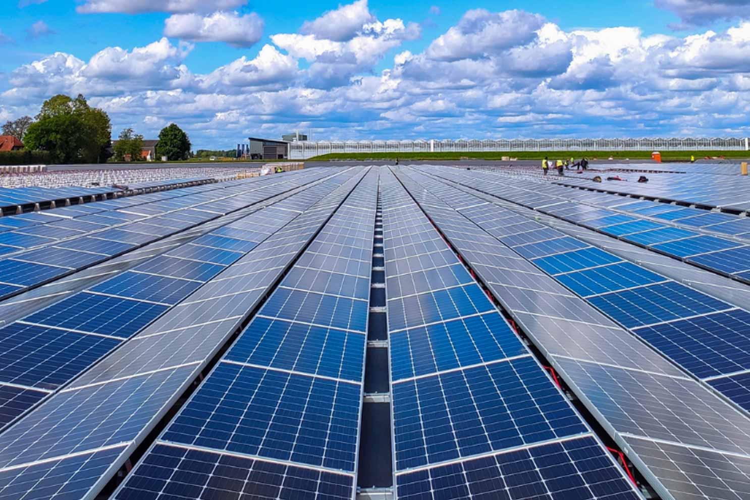 ‘Enerji Tarlası’ adı altında binlerce kişi mağdur oldu