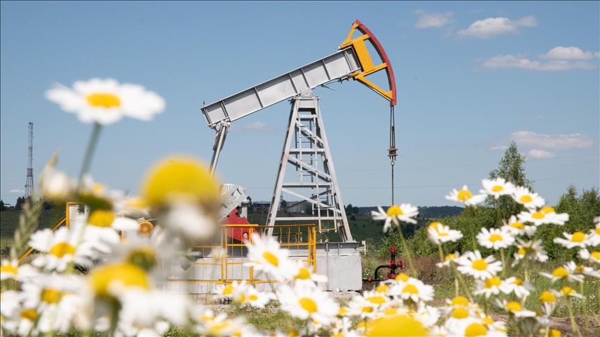 ABD’nin petrol sondaj kulesi sayısı azaldı