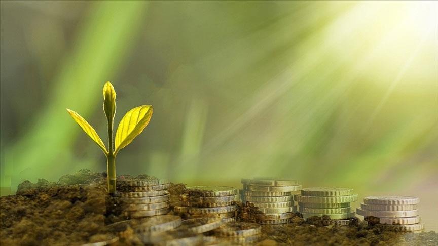 COP30’da UNFCCC İcra Sekreteri Stiell, gelişmiş ülkeleri finansman taahhütlerini yerine getirmeye çağırdı