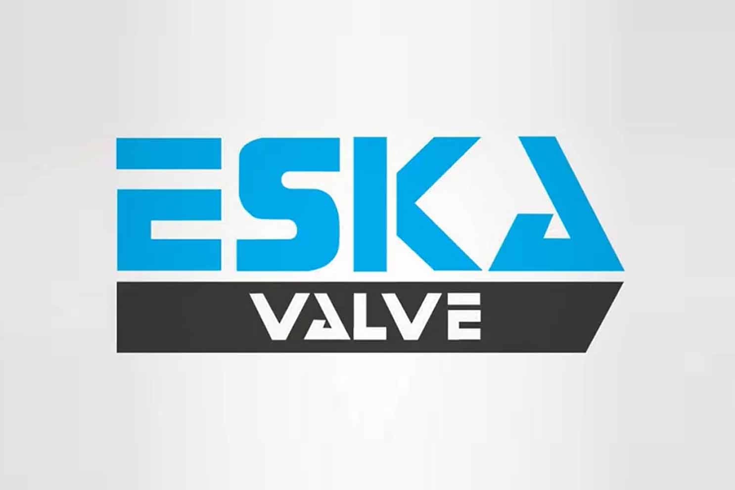 Türkiye’nin enerji dönüşümü ve dijitalleşme süreci masaya yatırıldı