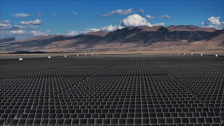 İspanya’daki güneş enerjisi santrali arı popülasyonları için güvenli yaşam alanı oldu