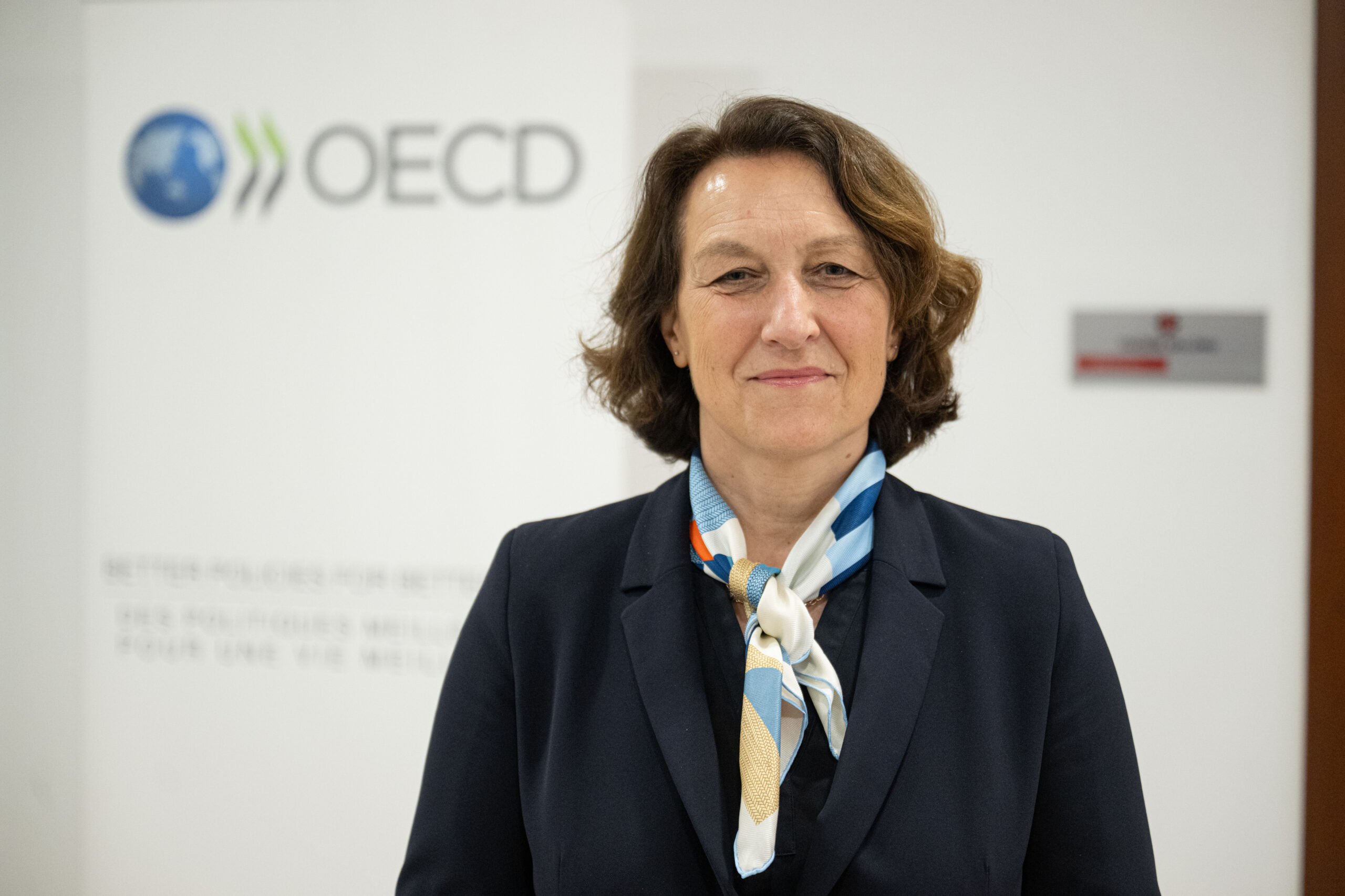 OECD, Türkiye’nin kritik minerallerde tedarik gücüne dikkati çekti