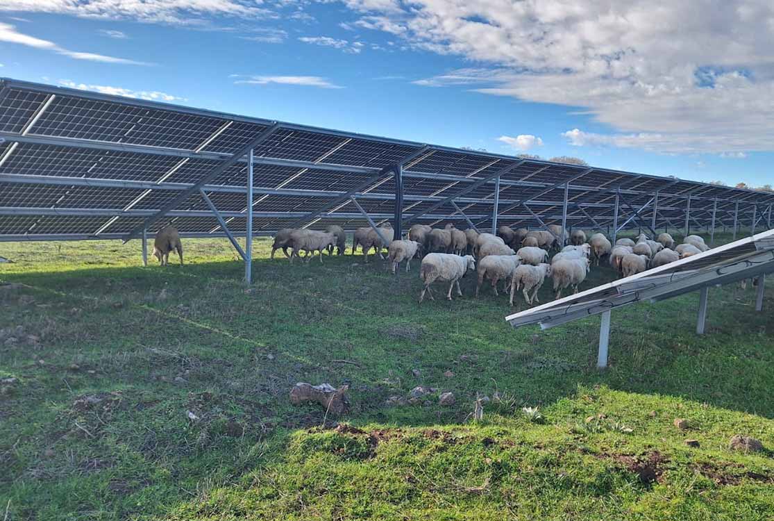 Borusan EnBW Enerji’den Çanakkale’de örnek döngüsel ekonomi modeli