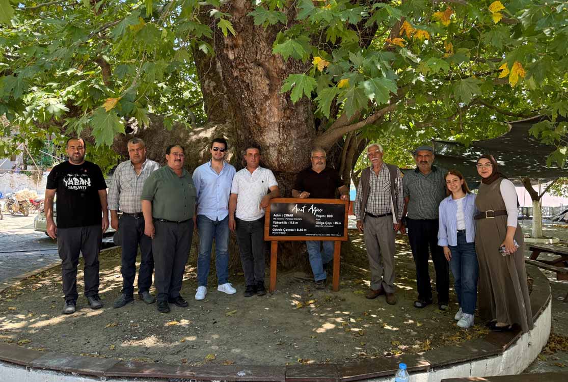 TÜREB, rüzgar enerjisinde sosyal kabulü güçlendirmek için yeni proje başlattı